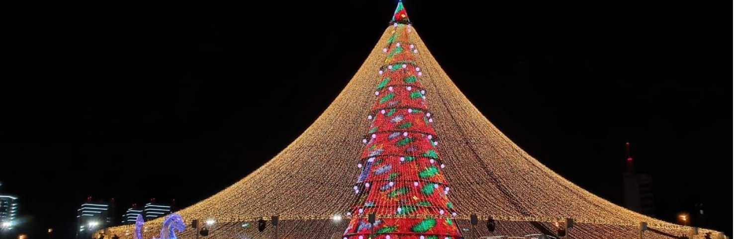 Экскурсия к Главной Елке Казани