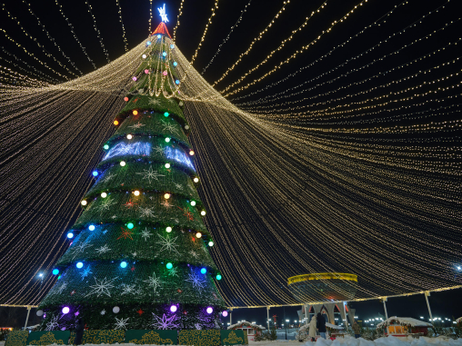 Экскурсия к Главной Елке Казани
